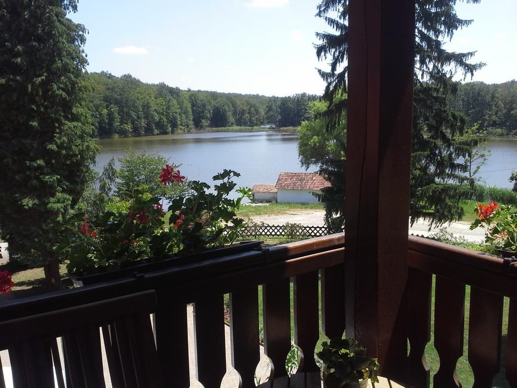 Agneslaki Oekoturisztikai Centrum Es Vadaszhaz Nagykanizsa Room photo